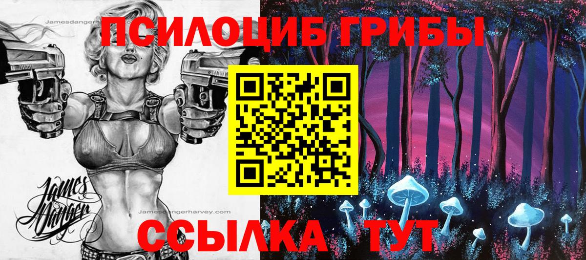 Свободный  Псилоцибиновые грибы GOLDEN TEACHER  Вход с VPN 